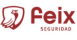 Feix Seguridad